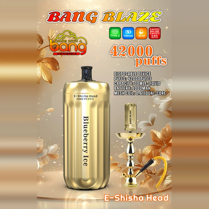 Bang Blaze Shisha Head 42000puffs Vape desechable