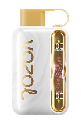 Vozol Star 40000Puffs Disposable Vape