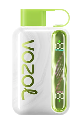Vozol Star 40000Puffs Disposable Vape
